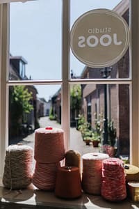 Zomercursus vilten
